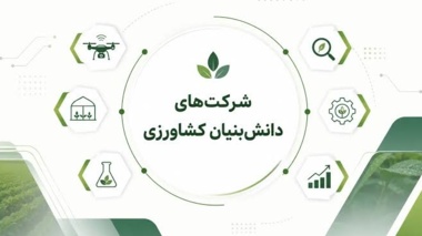 عنوان خبر یک